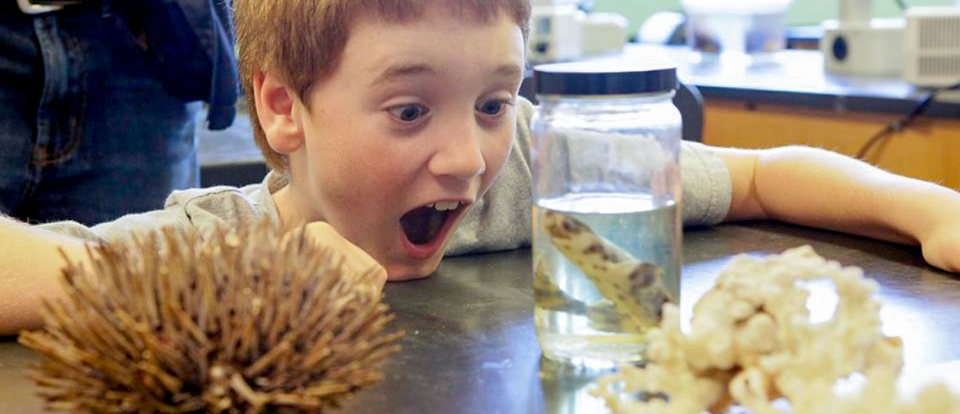 Kid with his mouth open looking at a fish in a jar