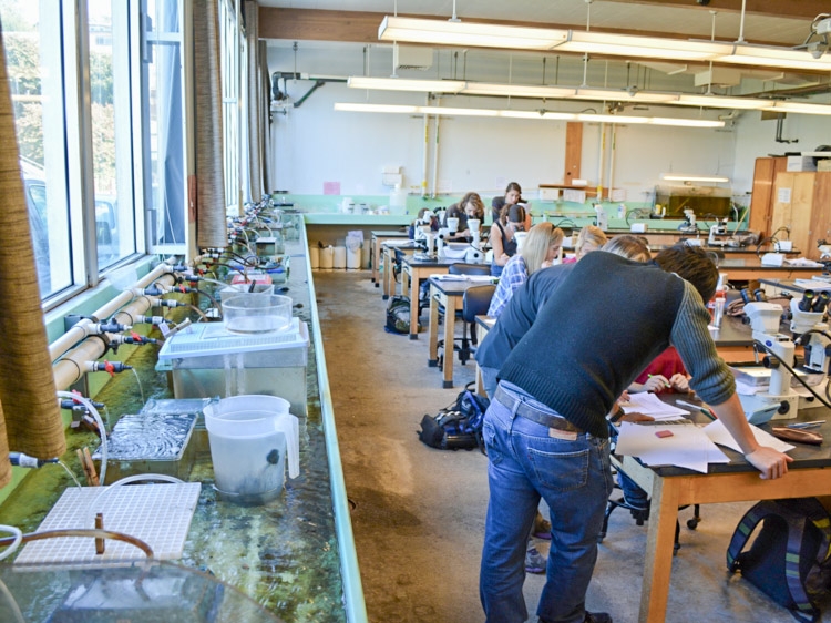 Students in the marine lab classroom - with a web lab along the wall