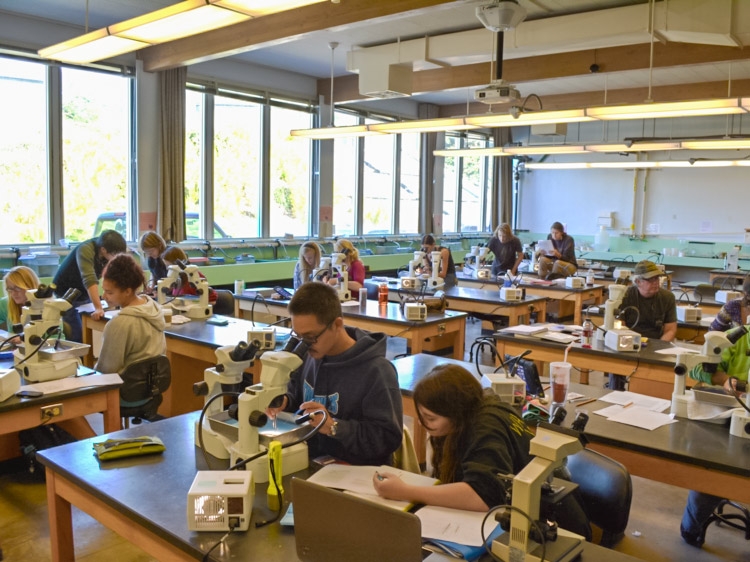 Students in the marine lab classroom
