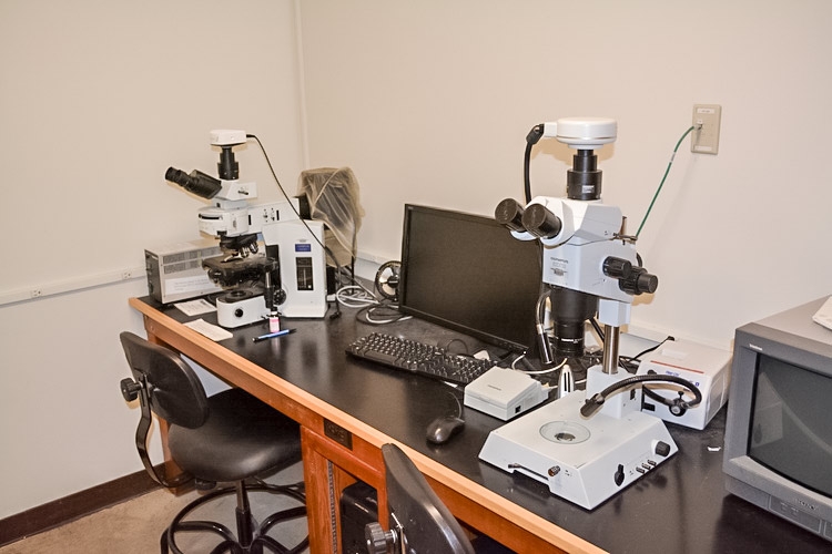 Two microscopes on a table with a laptop between them