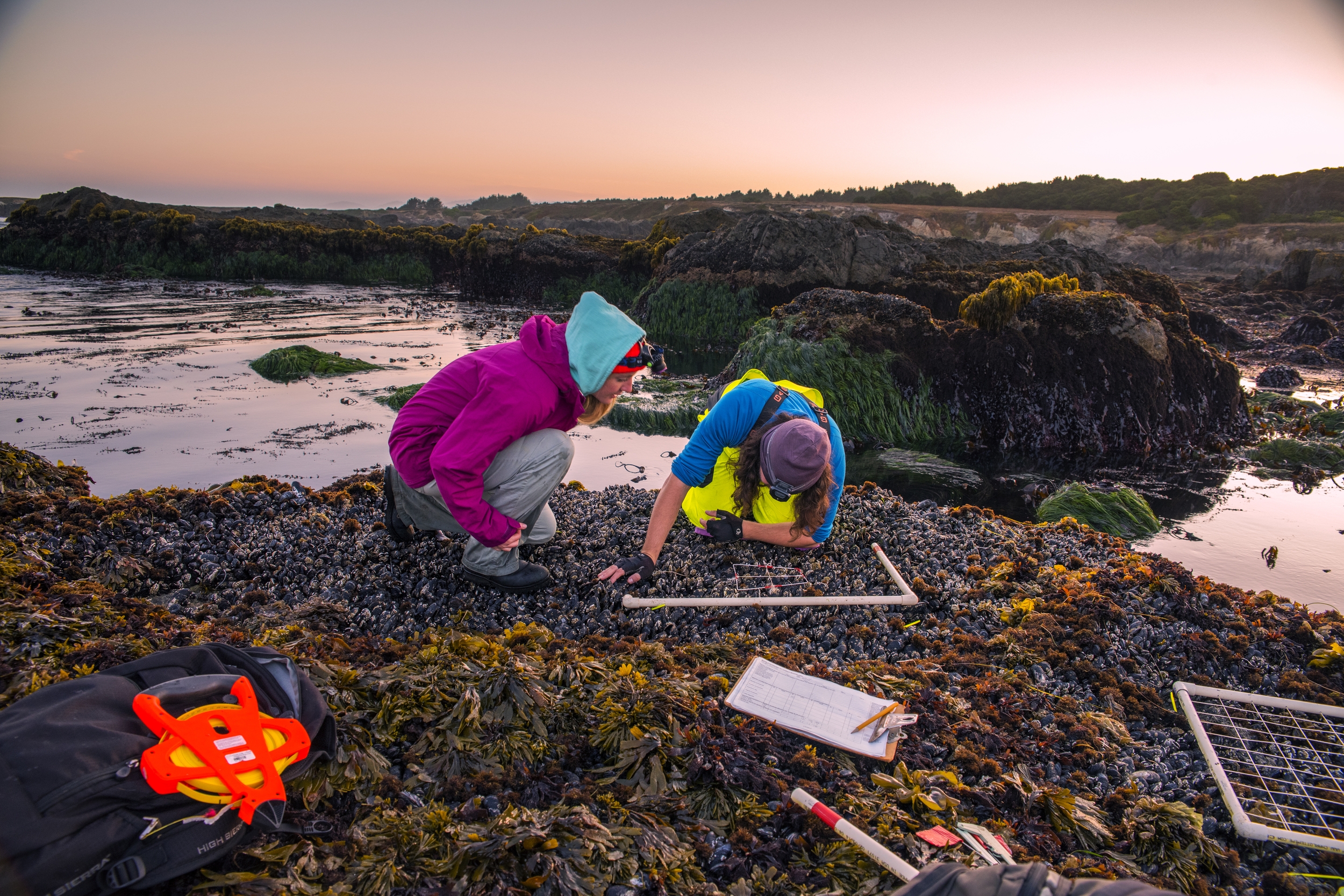 Two students doing research by the ocean tide pools