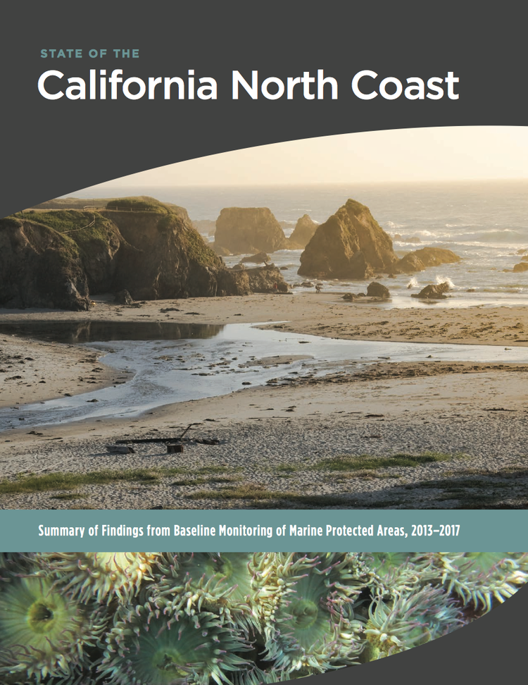 Front cover of the State of The California Coast