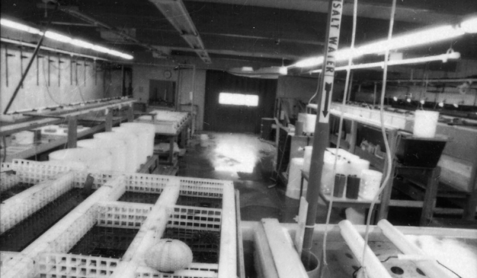 The original wet lab in the early days