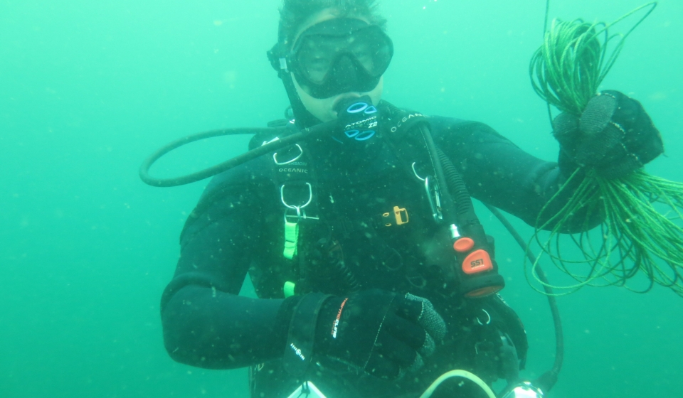 scuba diver holding an ocean plant
